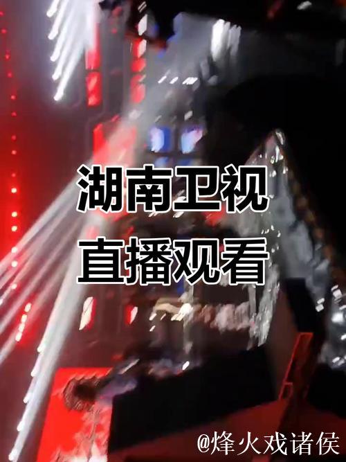 免费在线观看每日大赛直播，精彩不容错过